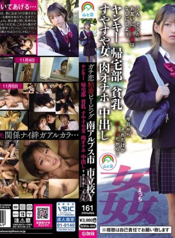 【FANZAのAV】ガチ恋粘着ピーピング 南アルプス市 市立校Y ヤンキー 帰宅部 貧乳 すやすや3女 肉オナホ 中出し 睡姦すやすやえっち 渚みつき｜sora00544